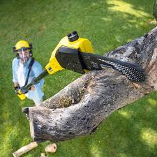 Best Lawn Maintenance Plans  in Guyton, GA