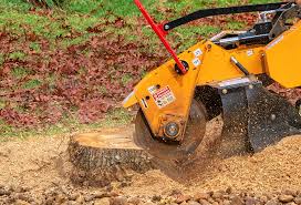Professional Tree Care in Guyton, GA