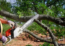Best Pest Control for Lawns  in Guyton, GA