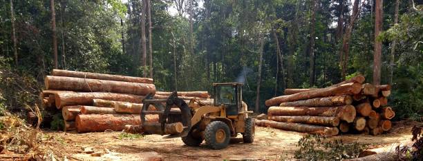 Soil Testing and Treatment in Guyton, GA