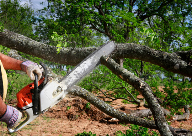 Best Weed Control  in Guyton, GA